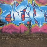 februar2010 006
